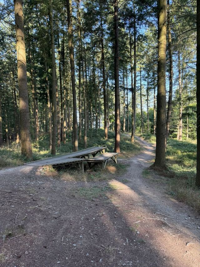 Mehringer Schweiz — photo 33