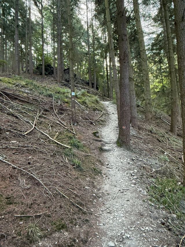 Mehringer Schweiz — photo 34