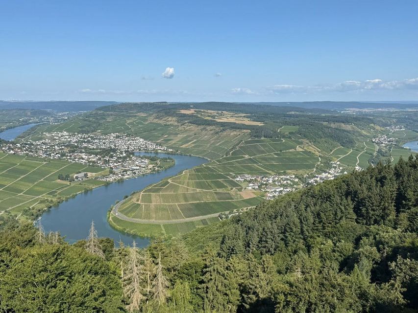 Mehringer Schweiz — photo 35