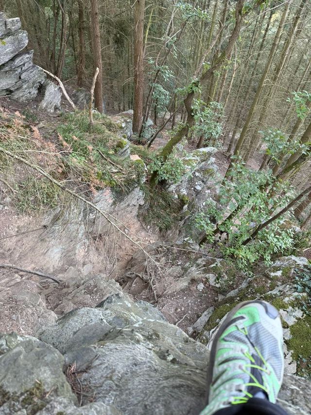 Mehringer Schweiz — photo 36