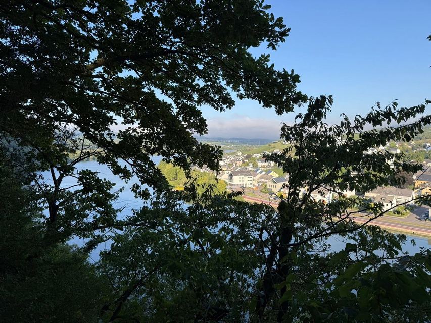 Mehringer Schweiz — photo 37