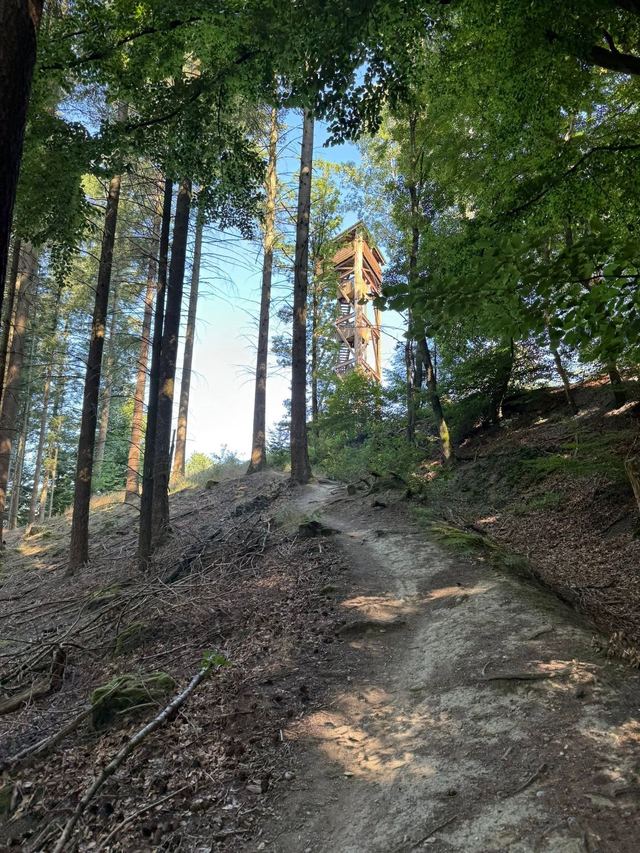 Mehringer Schweiz — photo 38