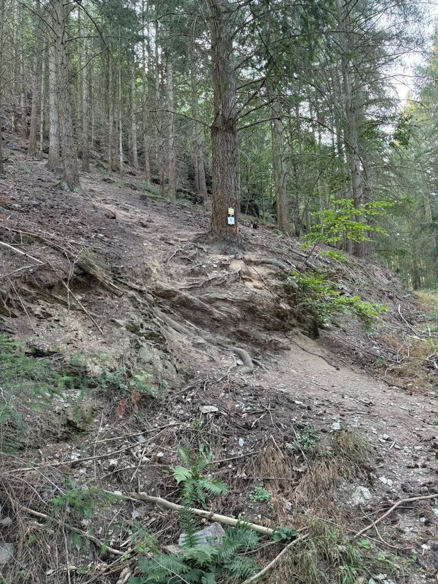 Mehringer Schweiz — photo 39