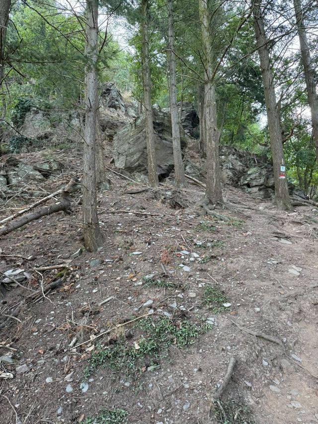 Mehringer Schweiz — photo 40