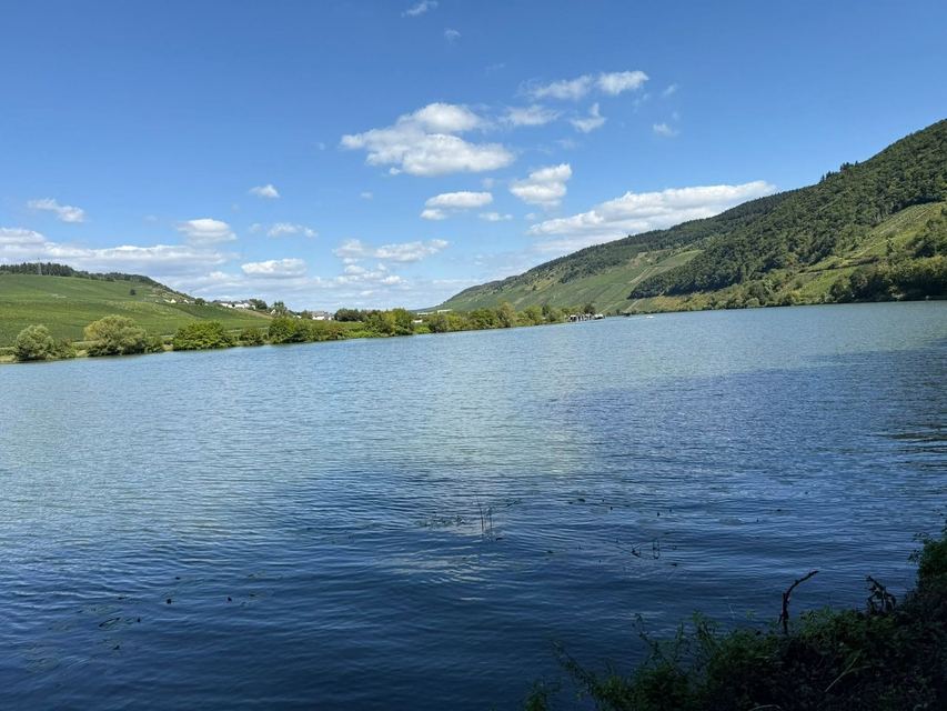 Mehringer Schweiz — photo 42