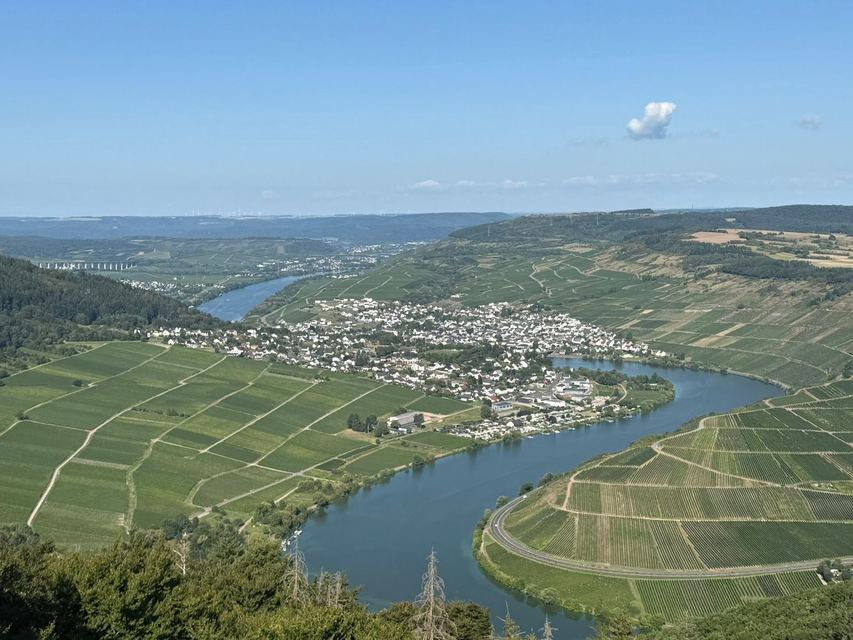 Mehringer Schweiz — photo 43