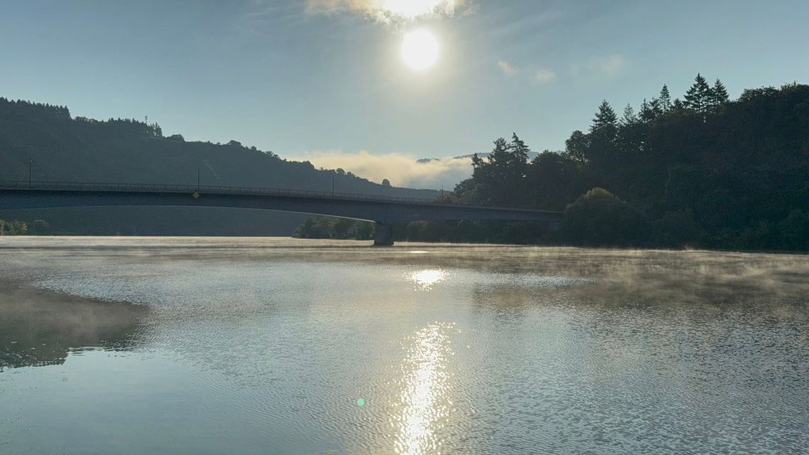 Mehringer Schweiz — photo 44