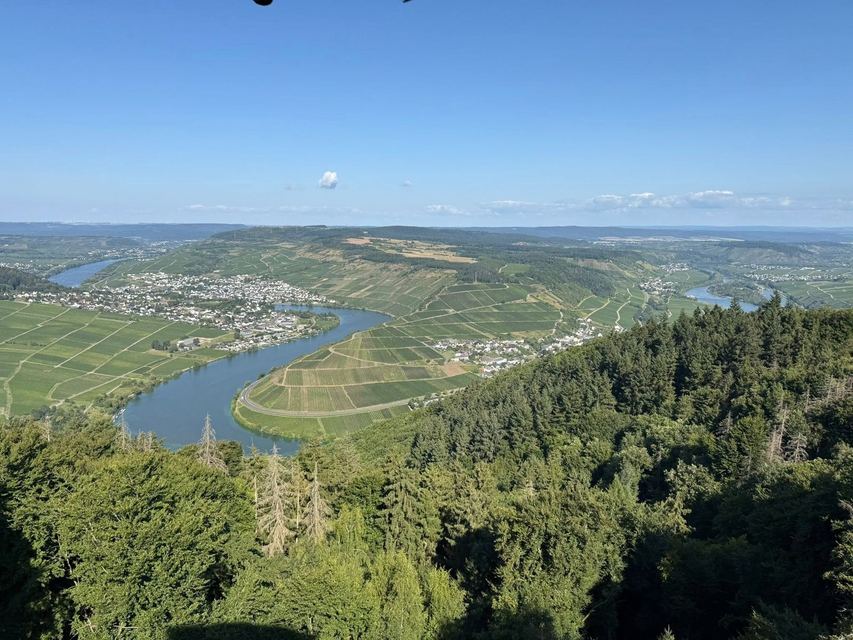 Mehringer Schweiz — photo 45