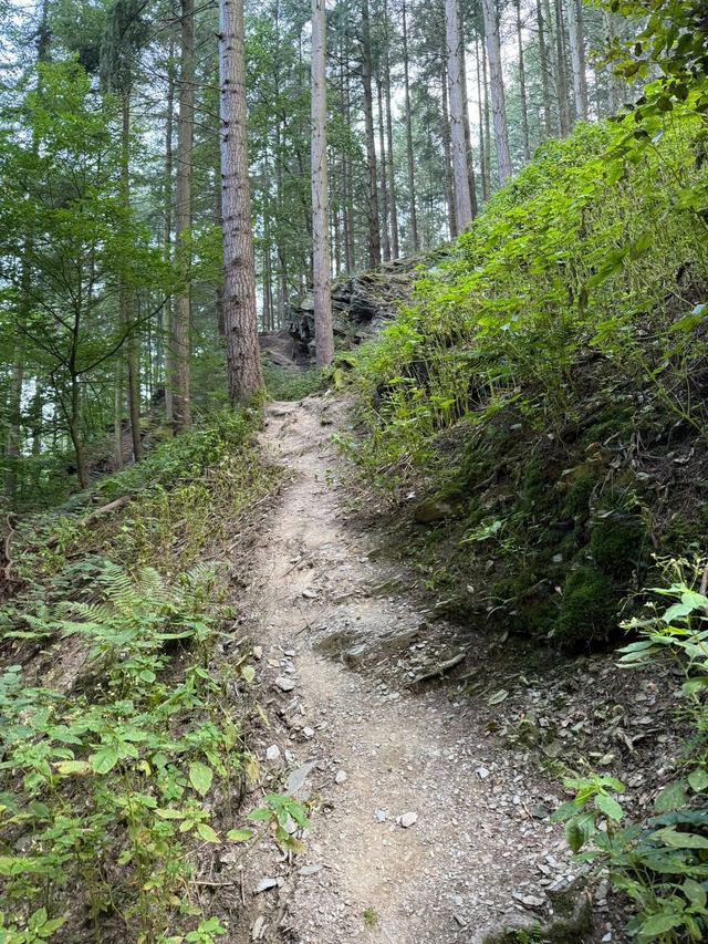Mehringer Schweiz — photo 46