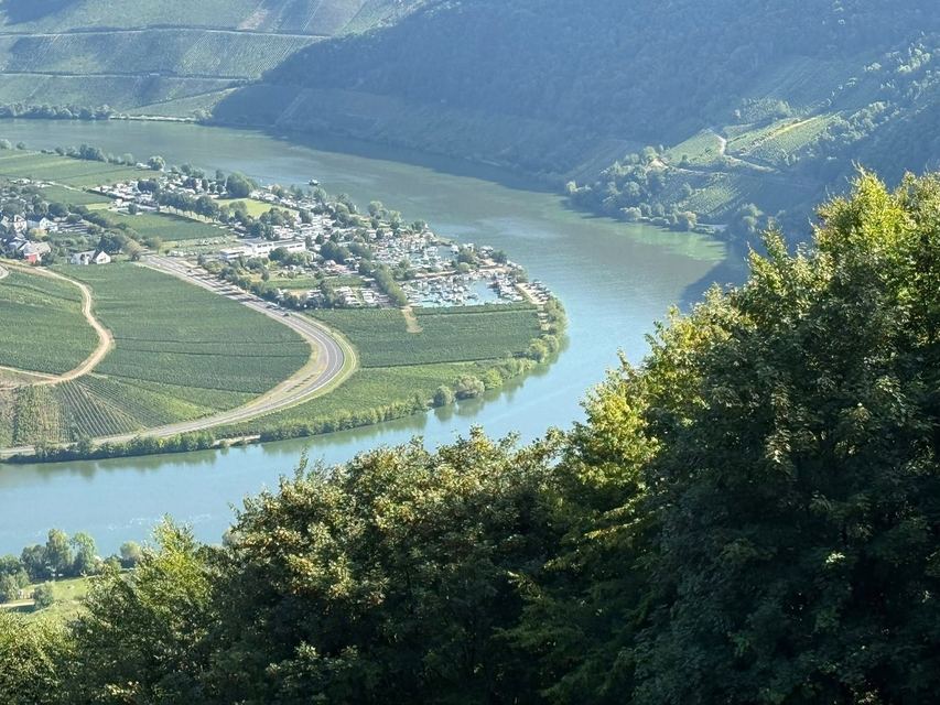 Mehringer Schweiz — photo 48
