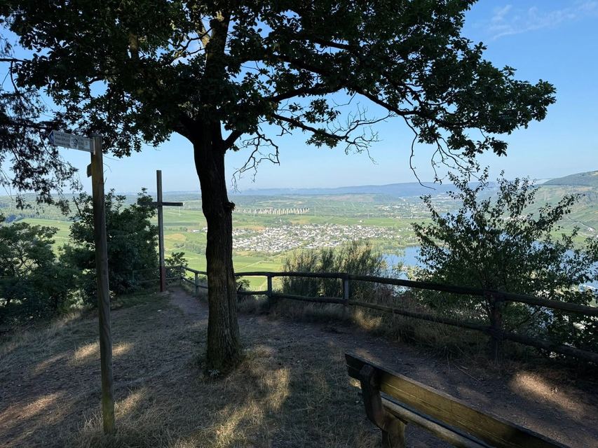 Mehringer Schweiz — photo 51