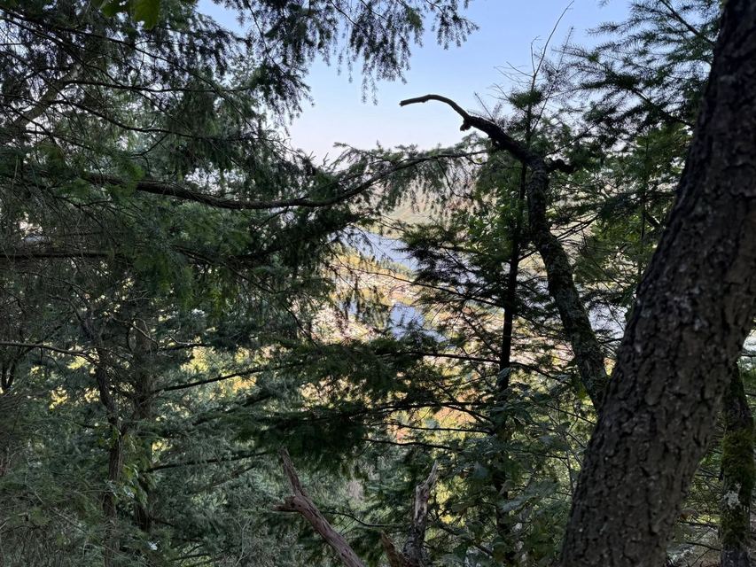 Mehringer Schweiz — photo 52