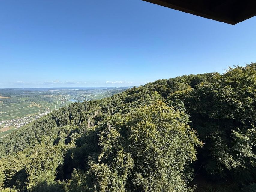 Mehringer Schweiz — photo 53