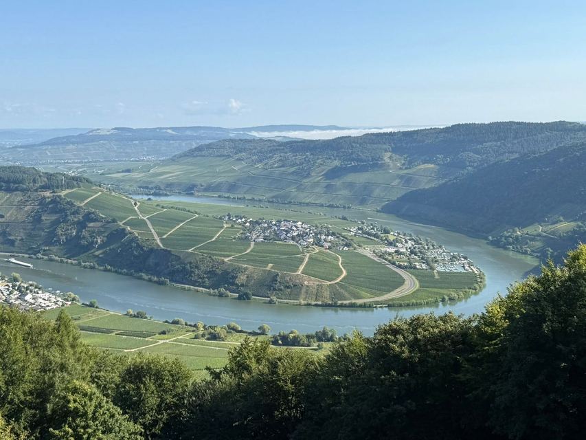 Mehringer Schweiz — photo 55