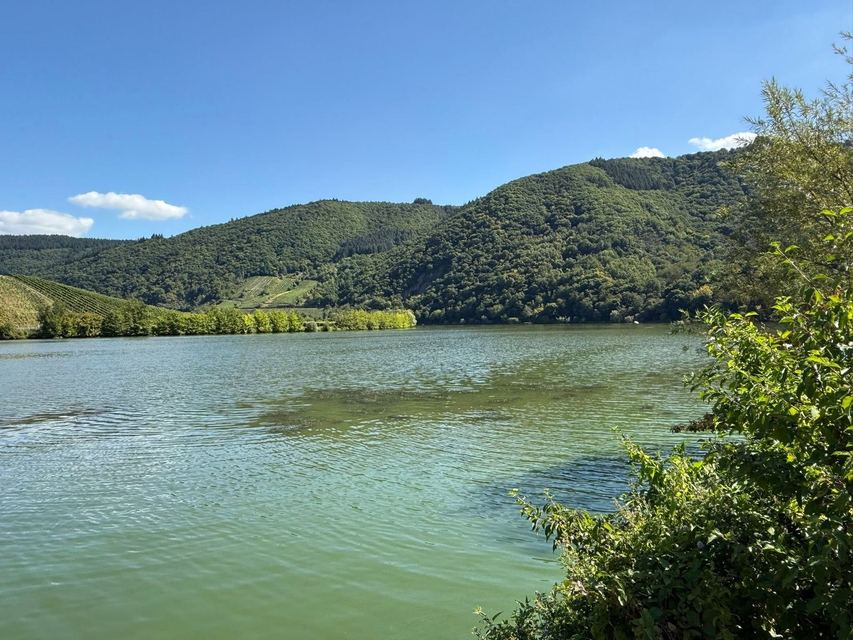 Mehringer Schweiz — photo 59