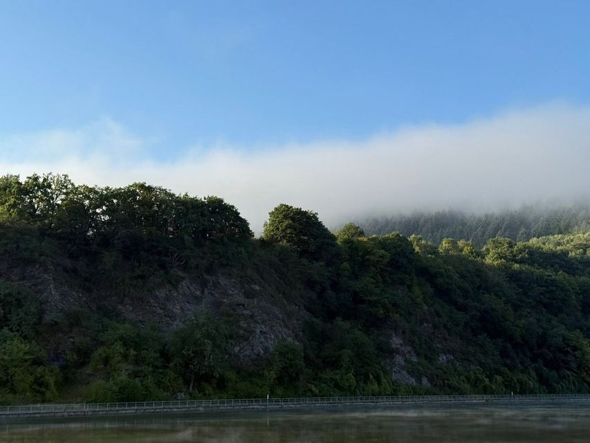 Mehringer Schweiz — photo 60