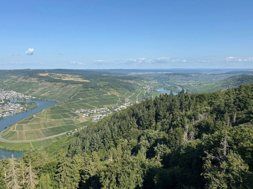 Mehringer Schweiz — photo 61