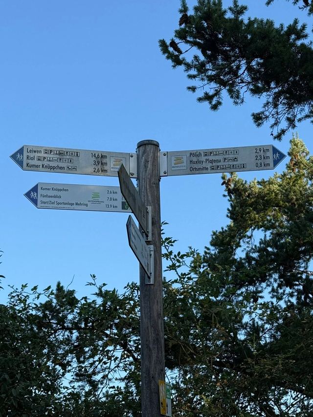 Mehringer Schweiz — photo 62