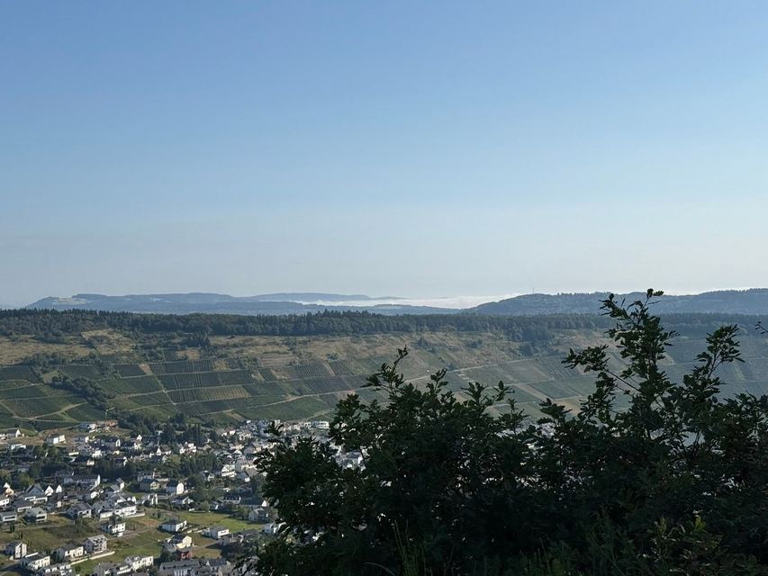 Mehringer Schweiz — photo 63