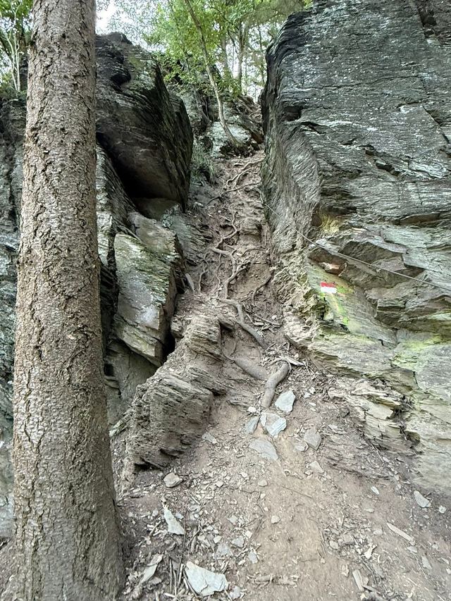 Mehringer Schweiz — photo 67