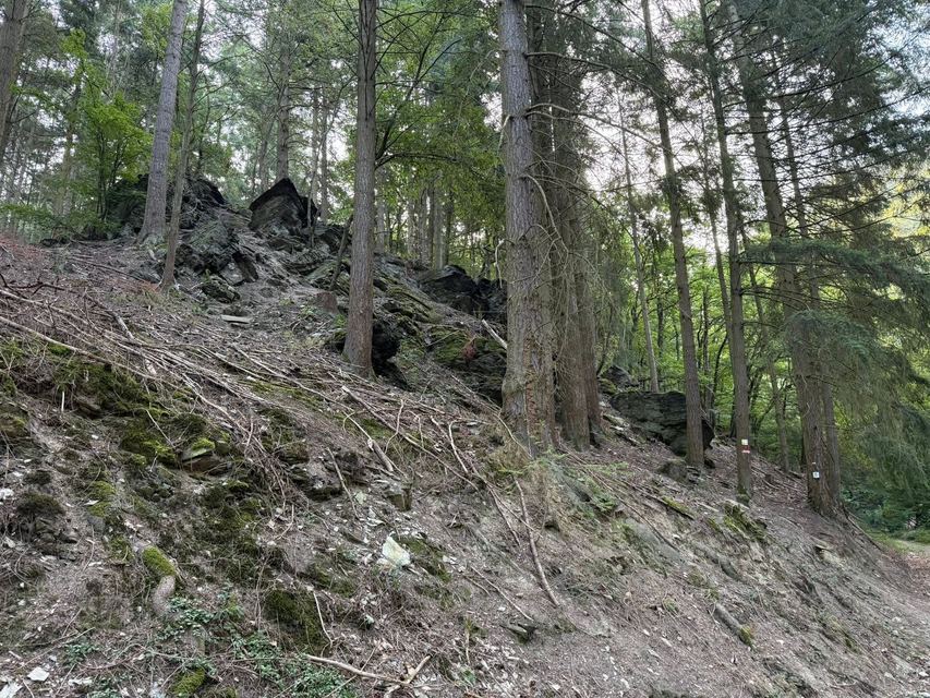 Mehringer Schweiz — photo 68
