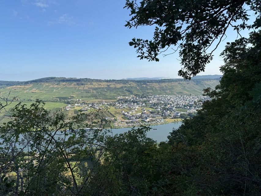 Mehringer Schweiz — photo 69