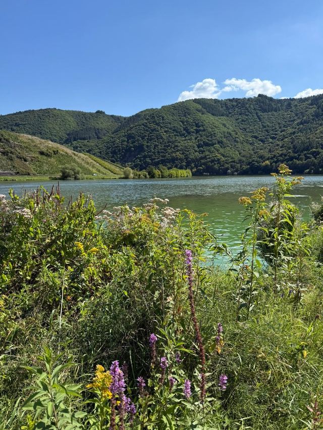 Mehringer Schweiz — photo 70