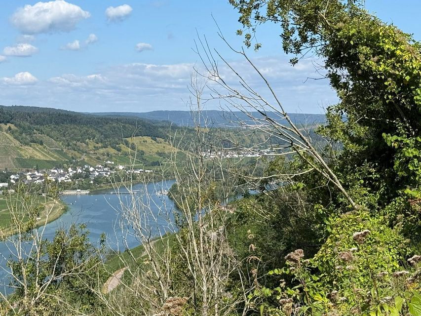 Mehringer Schweiz — photo 72
