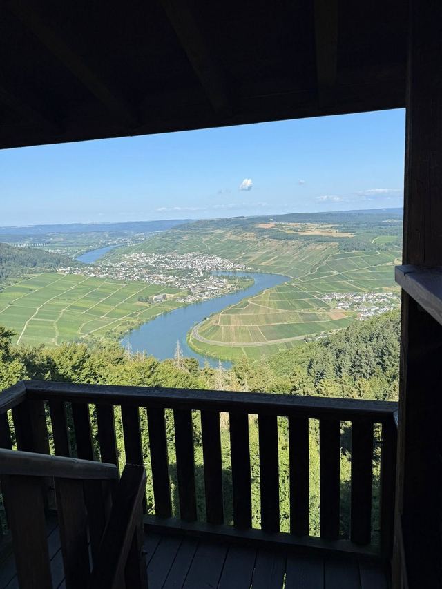 Mehringer Schweiz — photo 73
