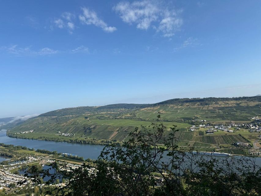 Mehringer Schweiz — photo 74