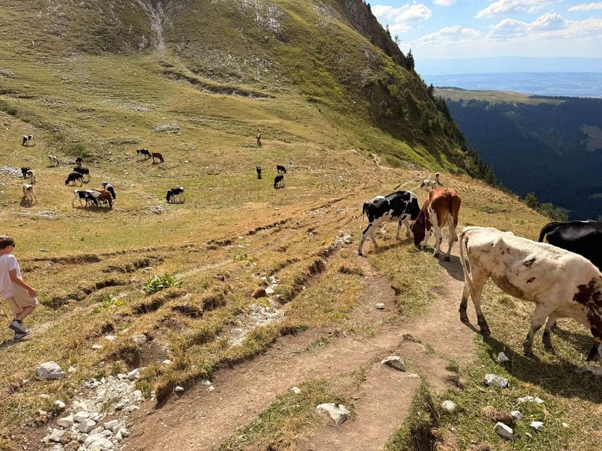 Via ferrata du Moléson — Le Pilier — photo 22