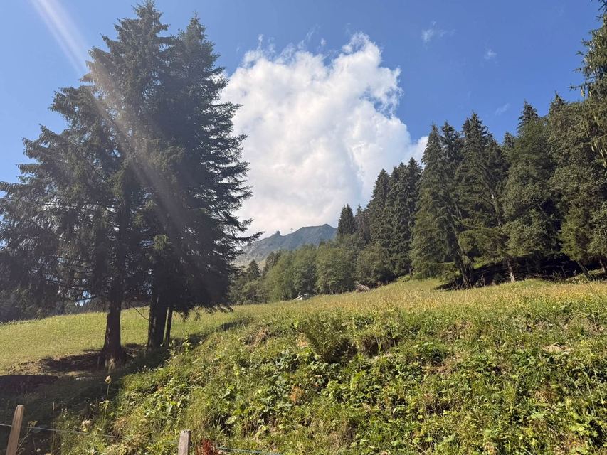 Via ferrata du Moléson — Le Pilier — photo 34