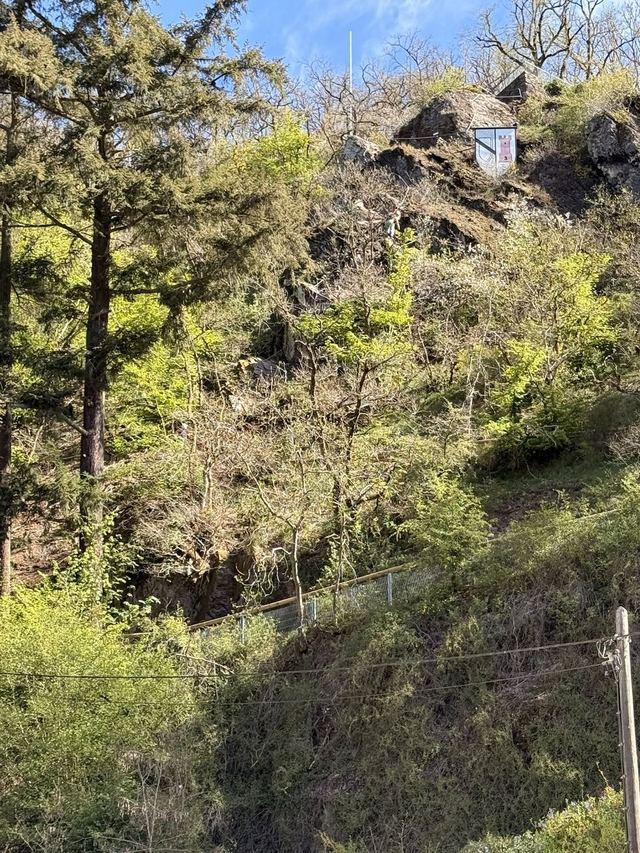 Neuerburger Klettersteig — photo 2