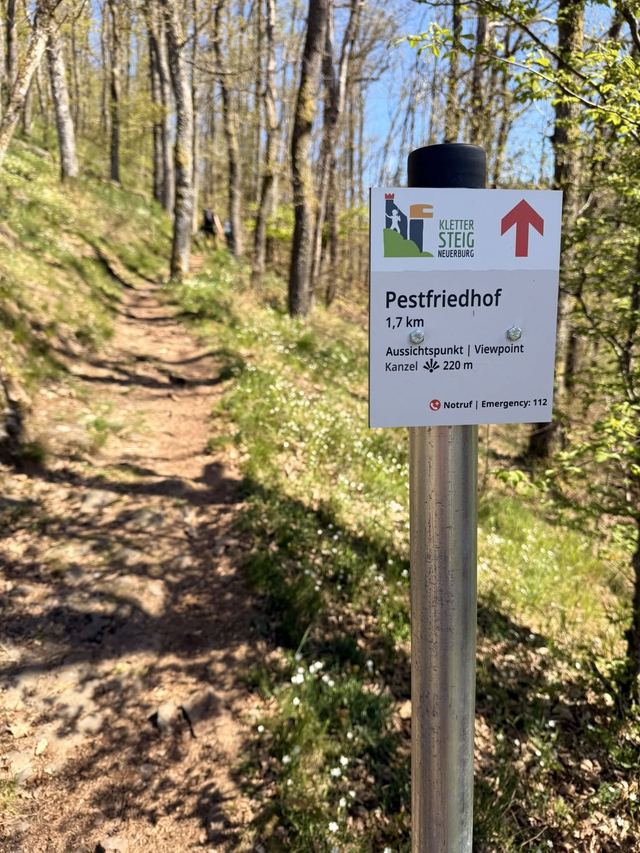 Neuerburger Klettersteig — photo 30