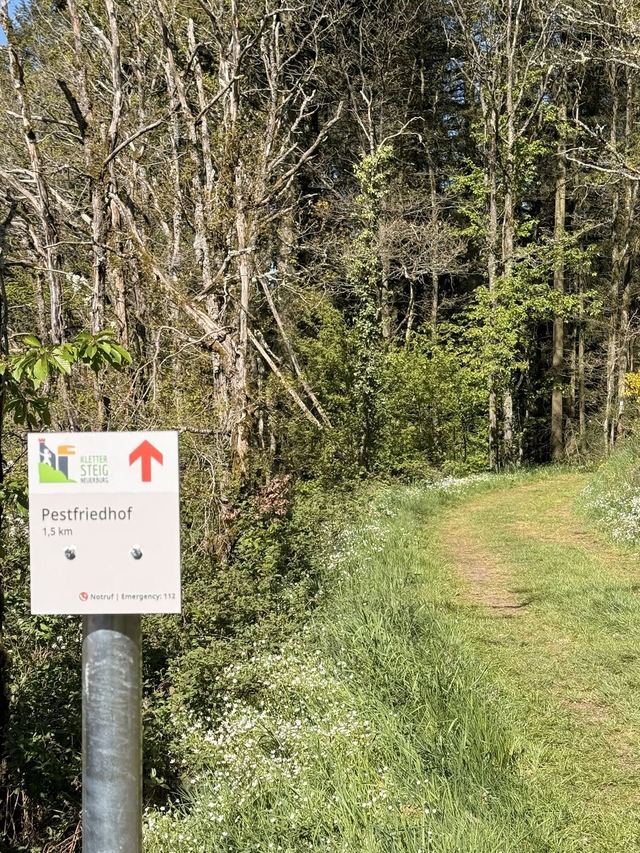 Neuerburger Klettersteig — photo 34