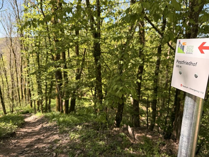 Neuerburger Klettersteig — photo 36
