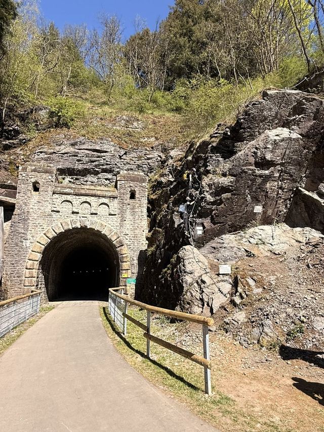 Neuerburger Klettersteig — photo 43