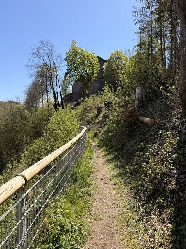 Neuerburger Klettersteig — photo 65
