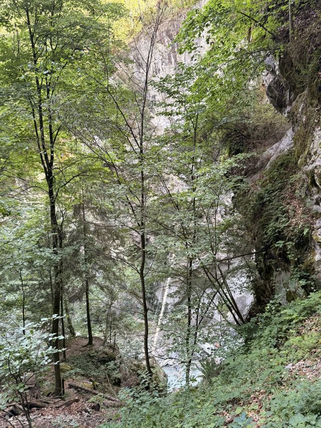 Via ferrata du Parc Thermal (partie basse) — photo 8