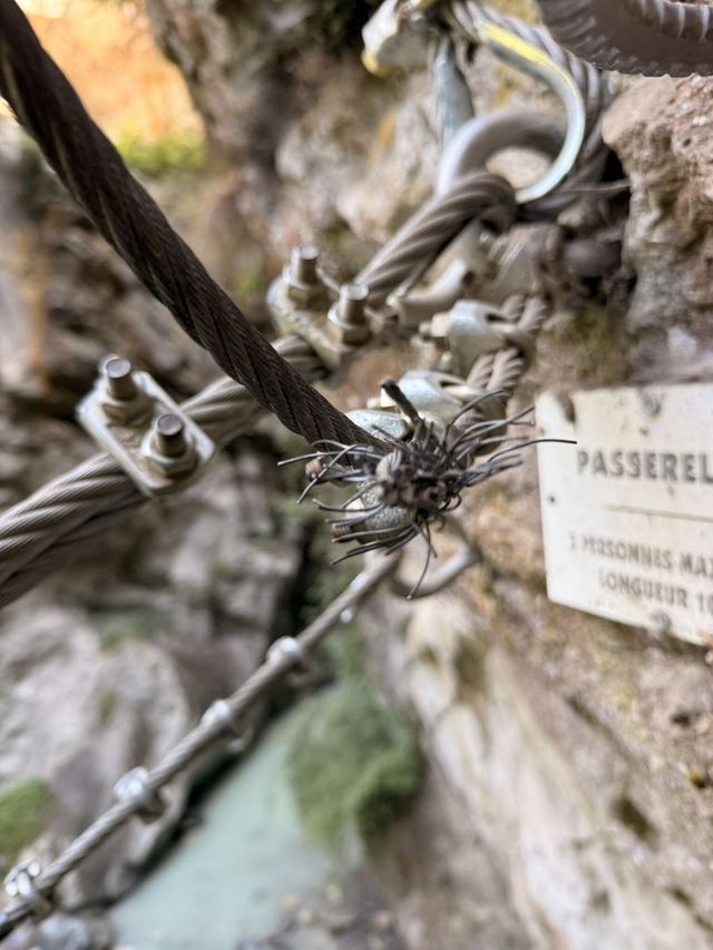 Via ferrata du Parc Thermal (partie basse) — photo 16