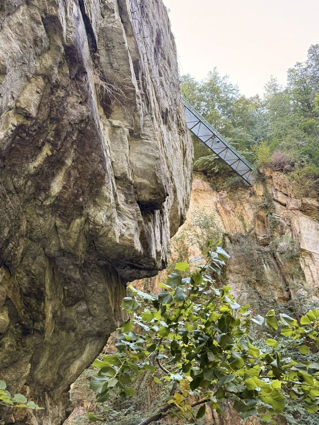 Via ferrata du Parc Thermal (partie basse) — photo 31
