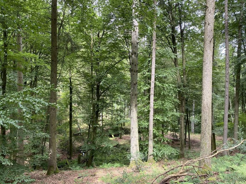 Kastel-Staadt & Klause Kastel — photo 28