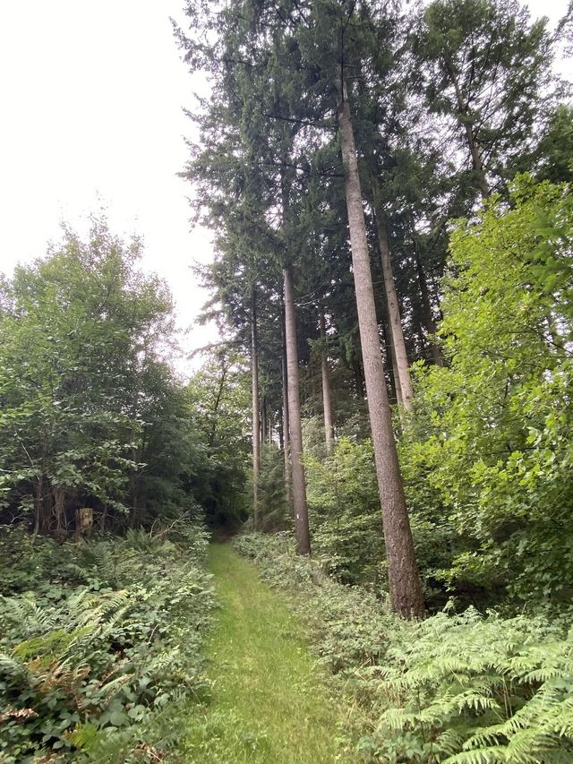 Kastel-Staadt & Klause Kastel — photo 29