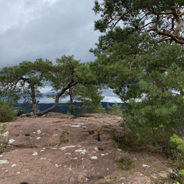 Kastel-Staadt & Klause Kastel — photo 31