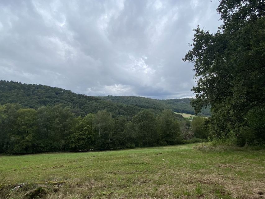 Kastel-Staadt & Klause Kastel — photo 32
