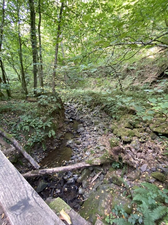Saarschleife — Mettlach — photo 10