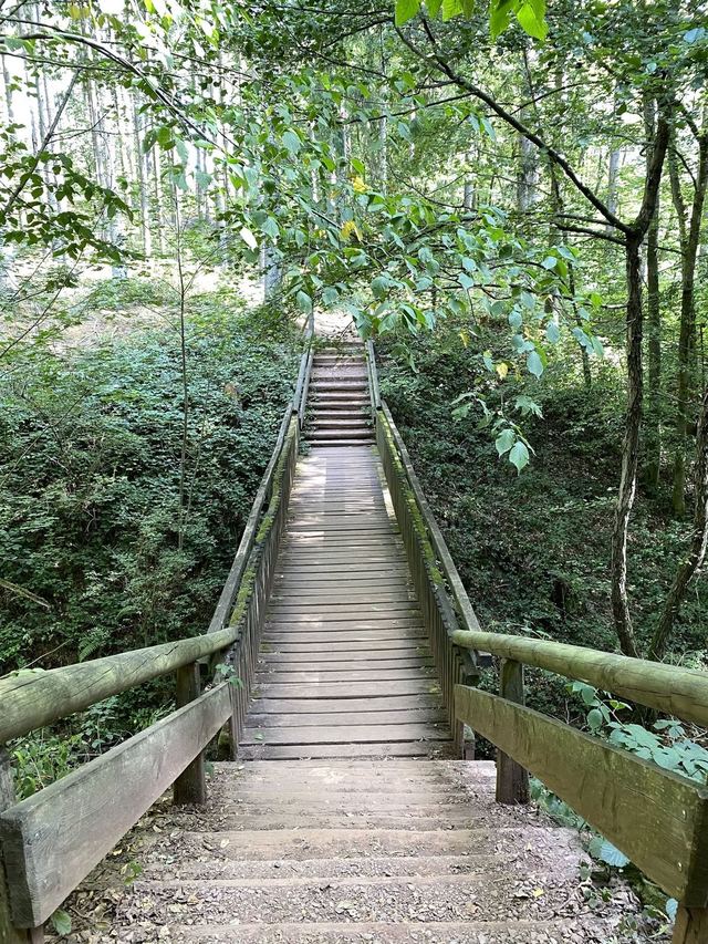 Saarschleife — Mettlach — photo 16