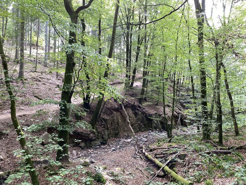 Saarschleife — Mettlach — photo 22