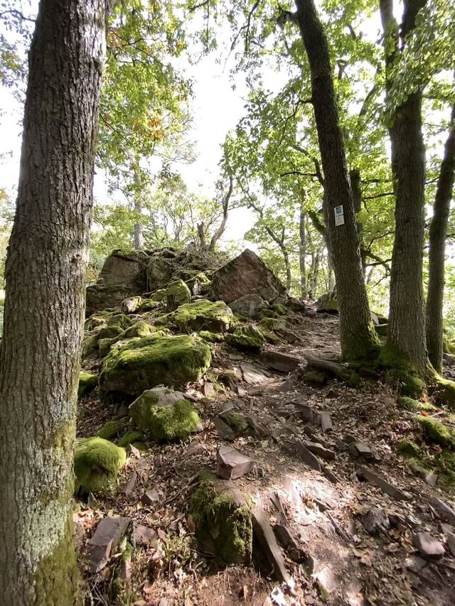Saarschleife — Mettlach — photo 23