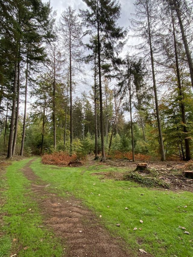 Saarschleife — Mettlach — photo 31